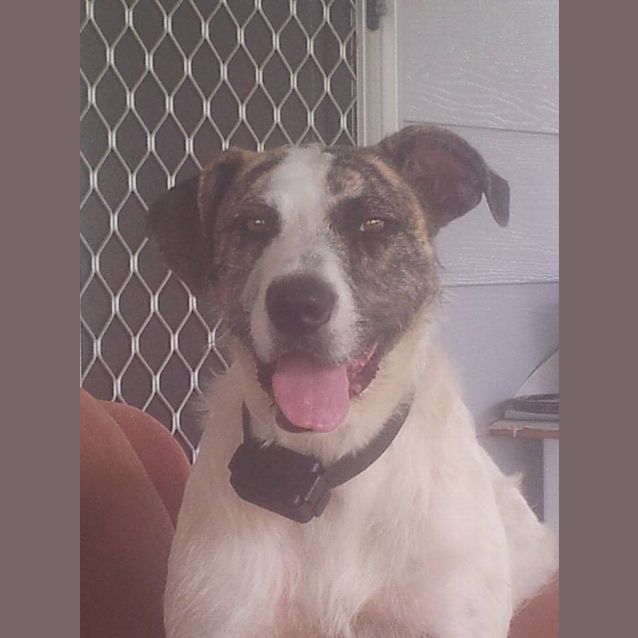 Photo of Sasha