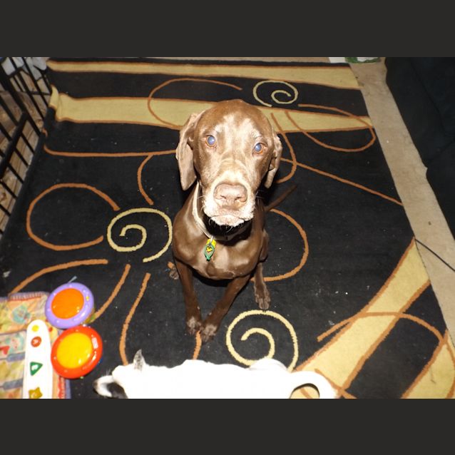 Photo of Zoe