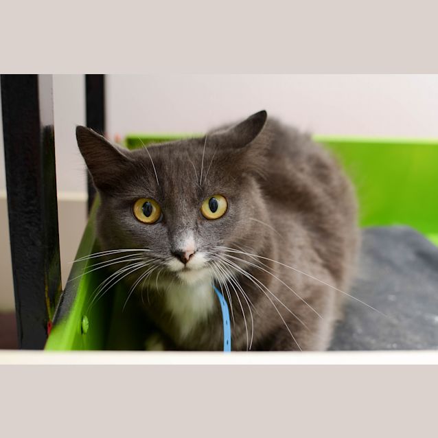Photo of Molly