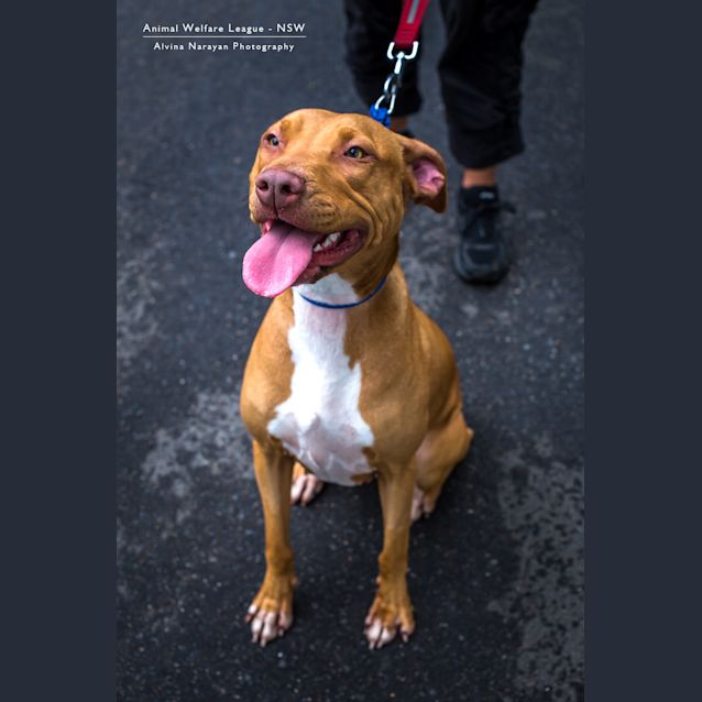Photo of Roxy