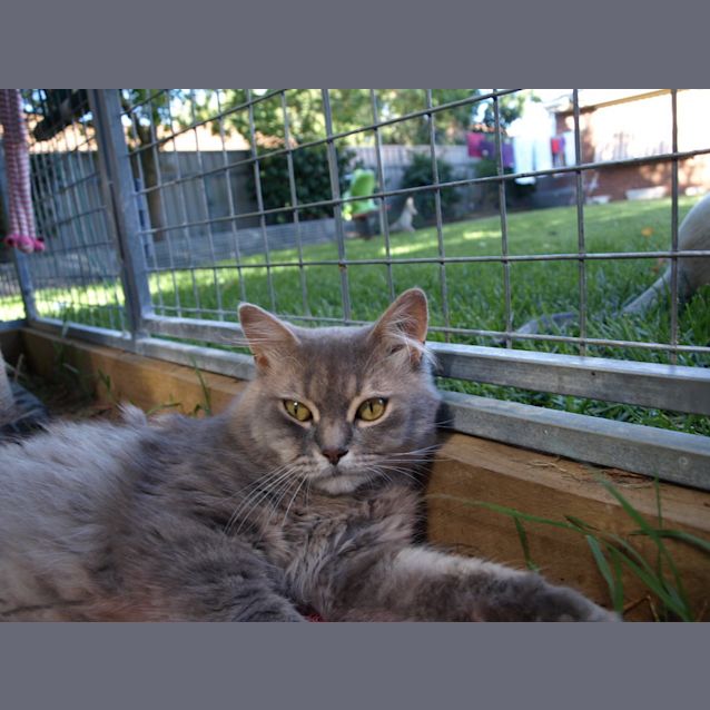 Photo of Fonzie