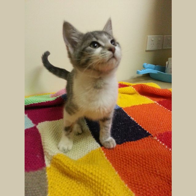 Photo of Luna Lovegood