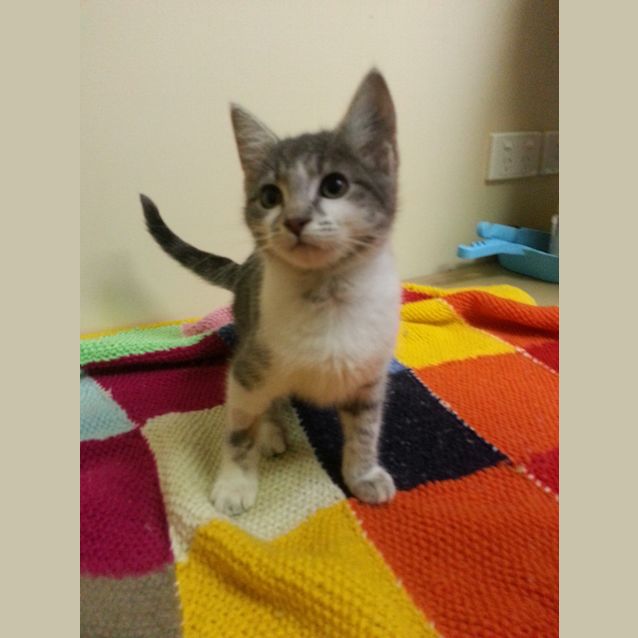 Photo of Luna Lovegood