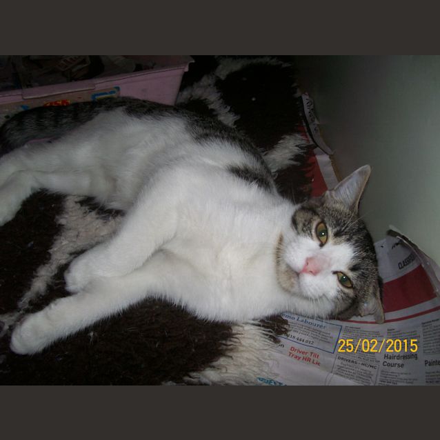 Photo of Claudia