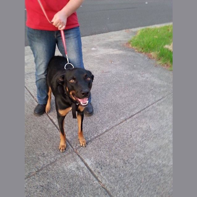 Photo of Oscar