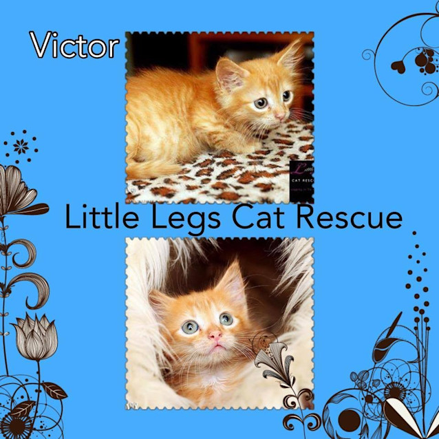 Photo of Victor 