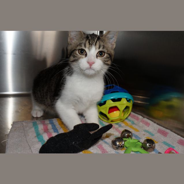 Photo of Ernie