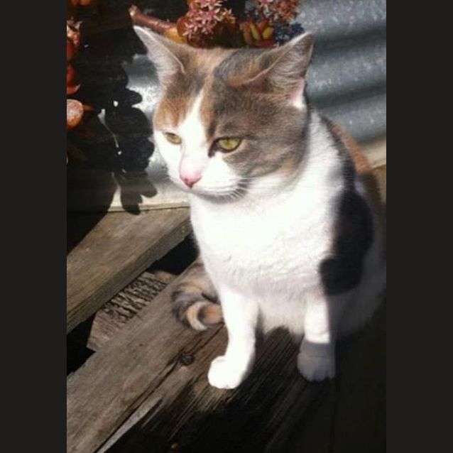 Photo of Emma