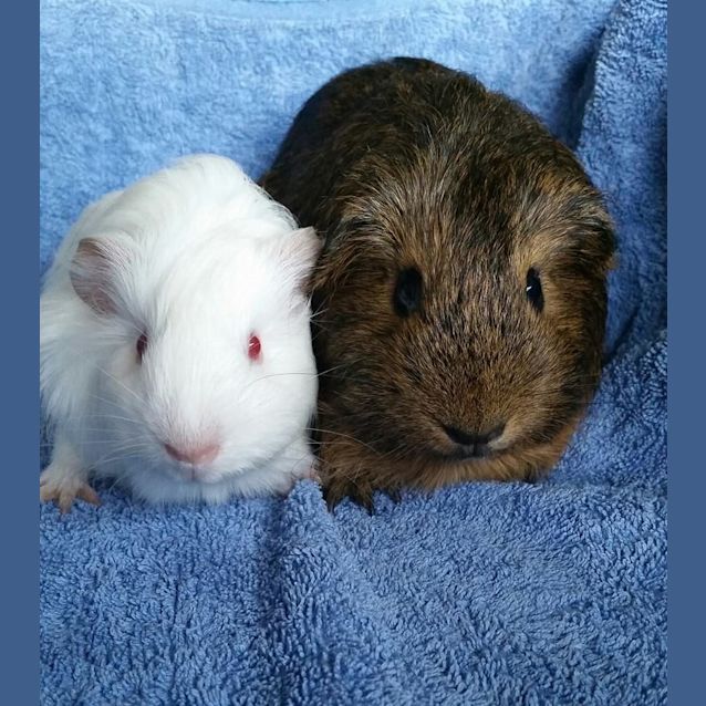 Photo of Jodie And Ruby