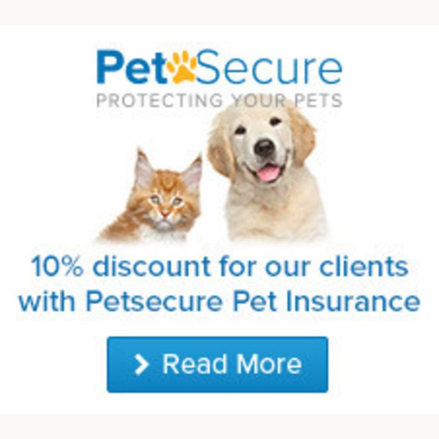 Photo of Liam & Maya On Trial