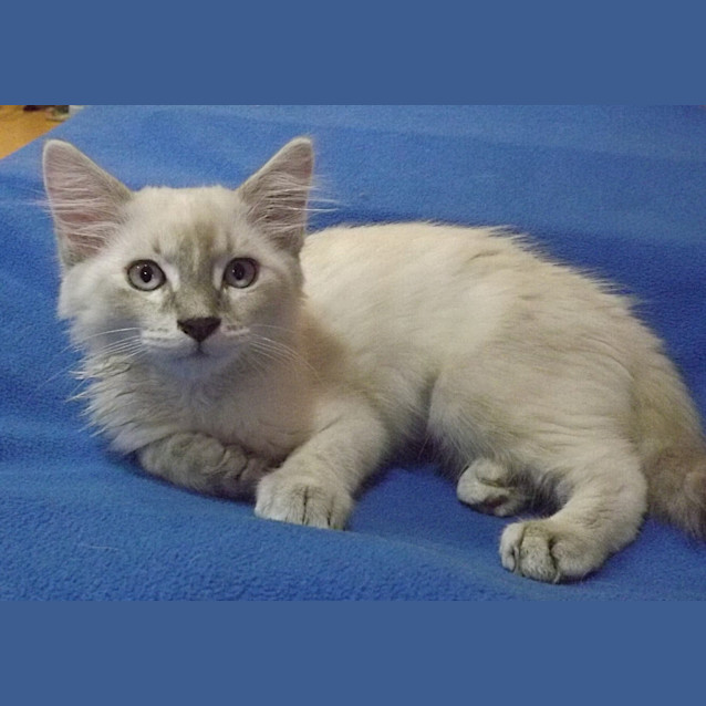 Photo of Princess