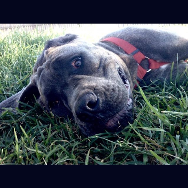 Photo of Syra