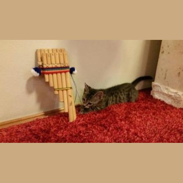 Photo of Molly