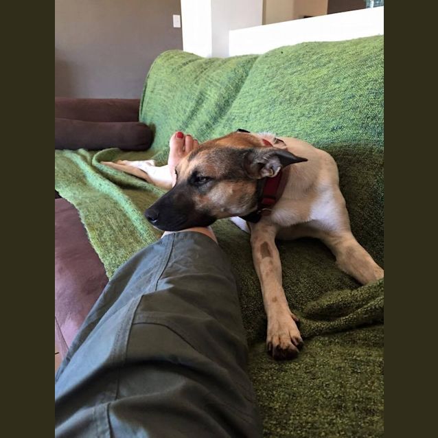 Photo of Lucy Dl895