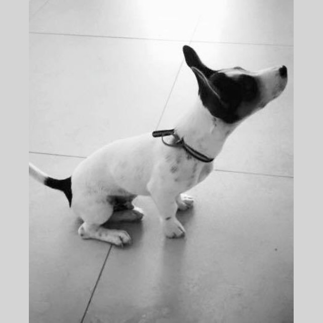 Photo of Freddie