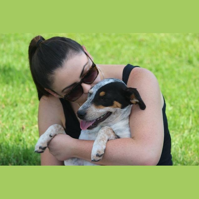 Photo of Bindi *Cat Friendly*