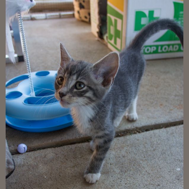 Photo of Carl