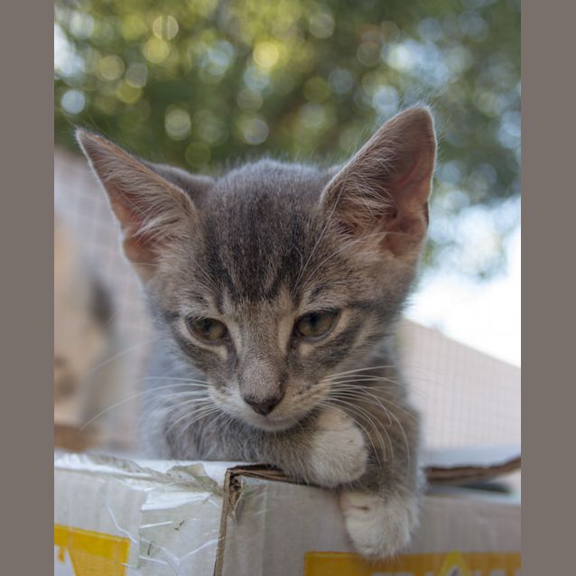 Photo of Carl