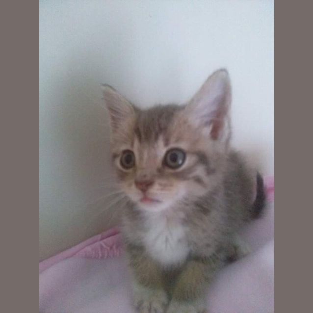 Photo of Jemima