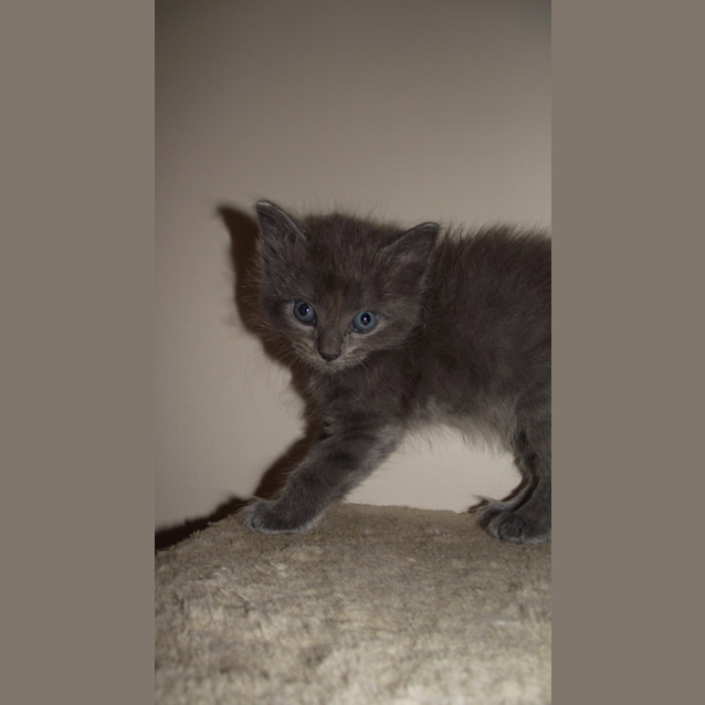 Photo of Piere