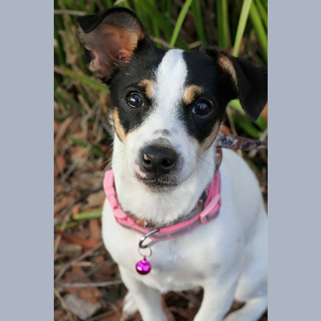 Photo of Maggie