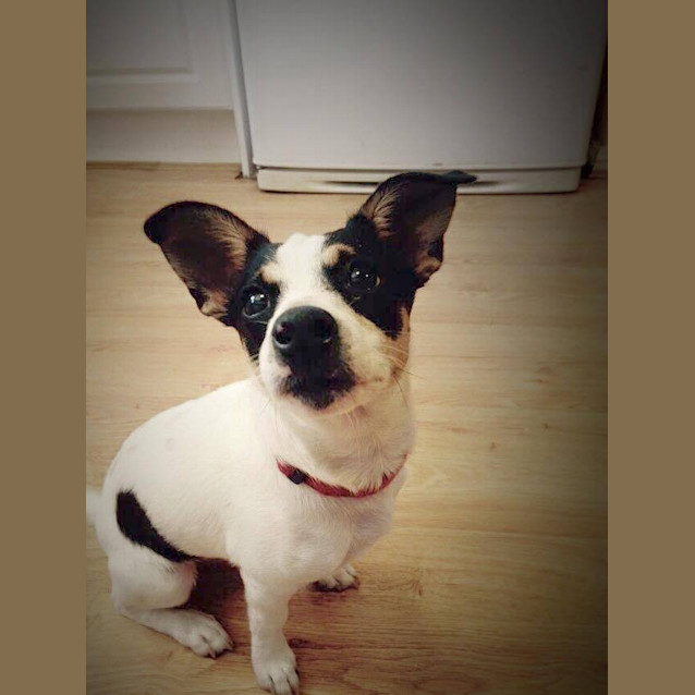 Photo of Maggie