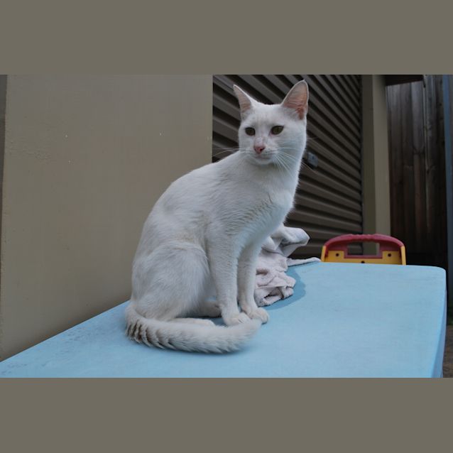 Photo of Billy