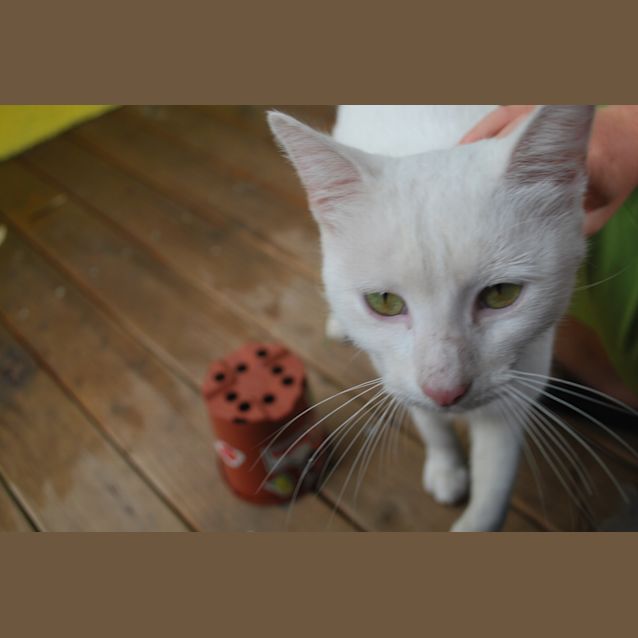 Photo of Billy