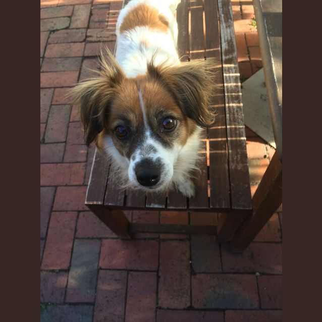 Photo of Sissy Bee  