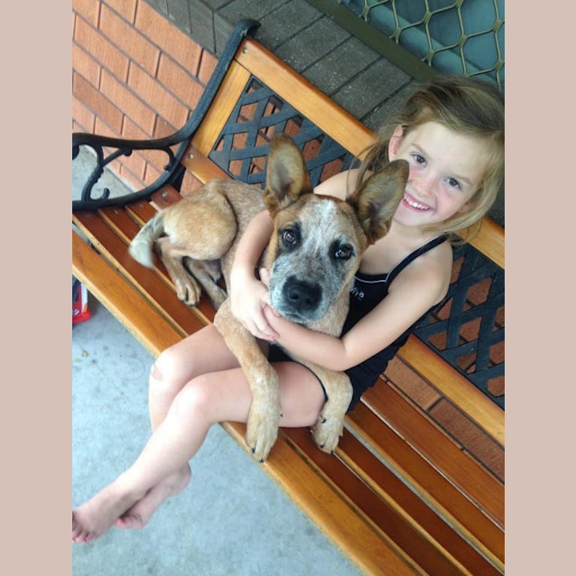 Photo of Diesel