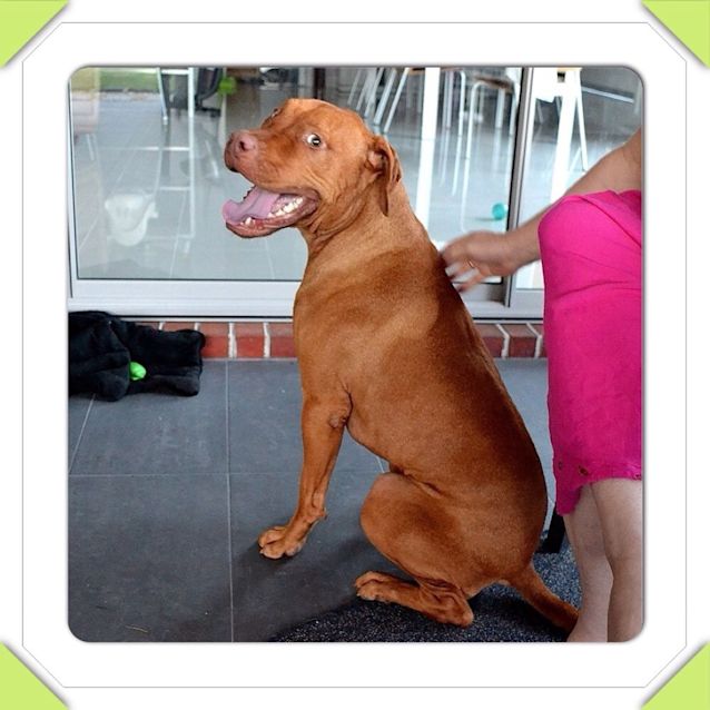 Photo of Sammy ** A Love Bug **