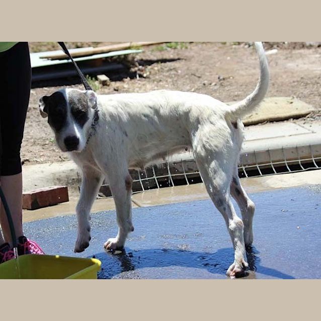 Photo of Mara