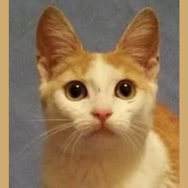Photo of Annie