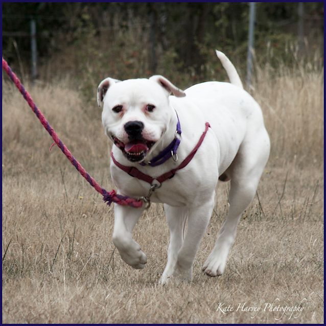 Photo of Tank