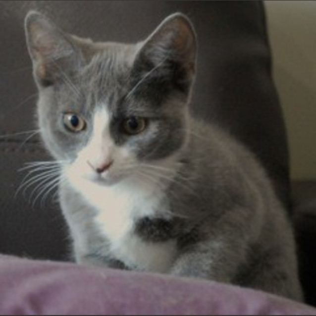 Photo of Polly