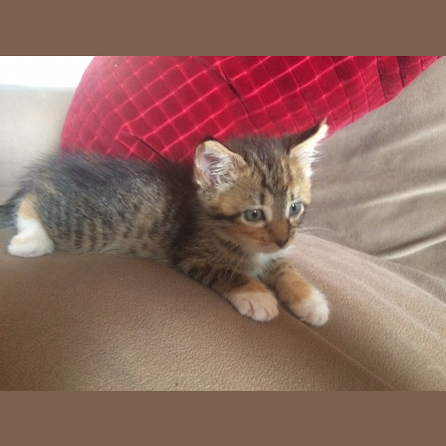 Photo of Levi