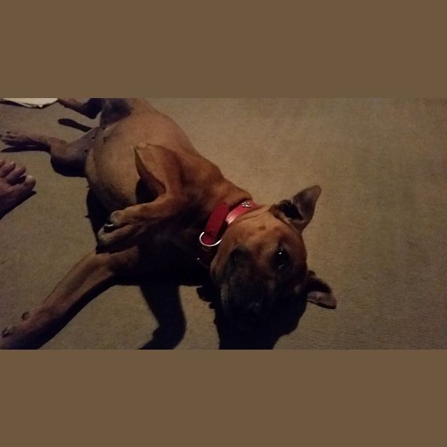 Photo of Betty Boo