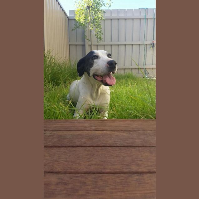 Photo of Millie