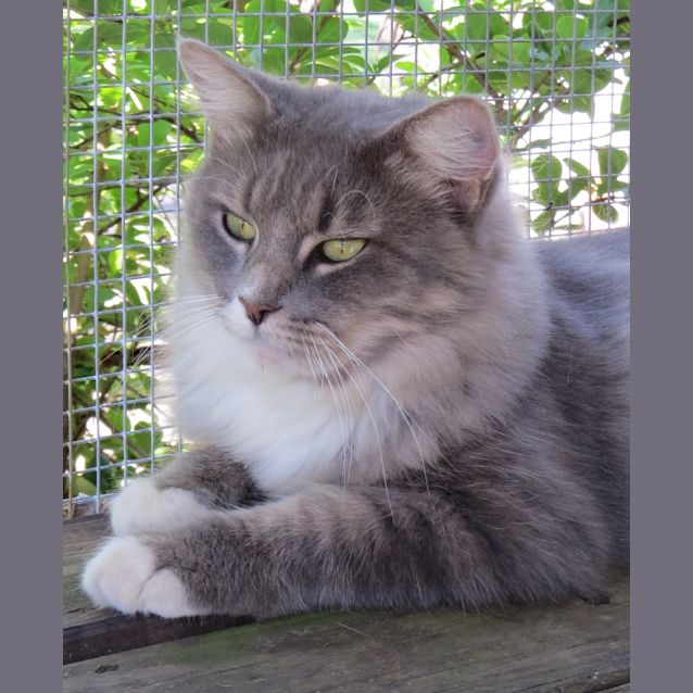 Photo of Emiy