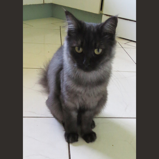 Photo of Bridie