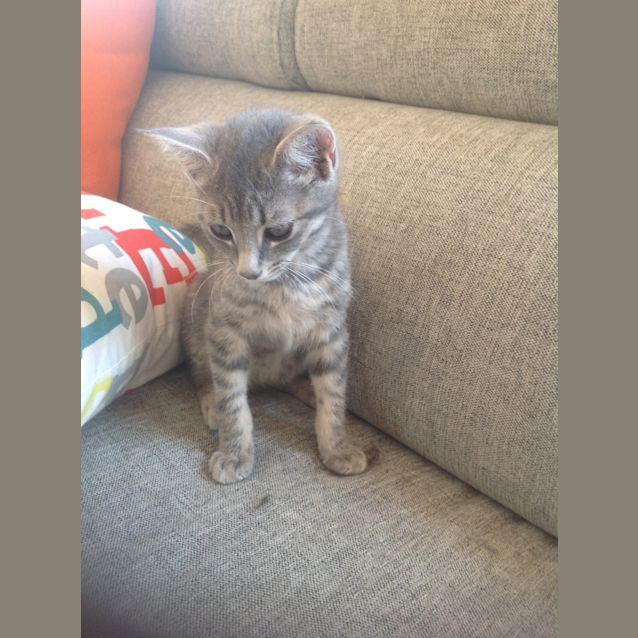 Photo of Max