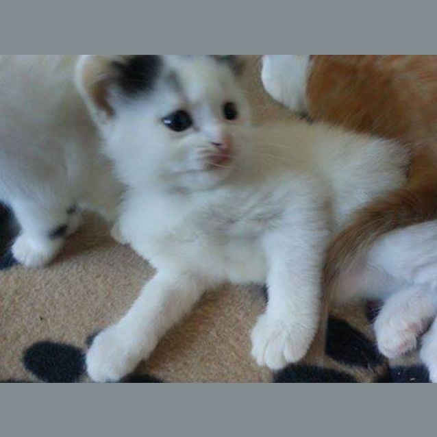 Photo of What Would You Name Us?