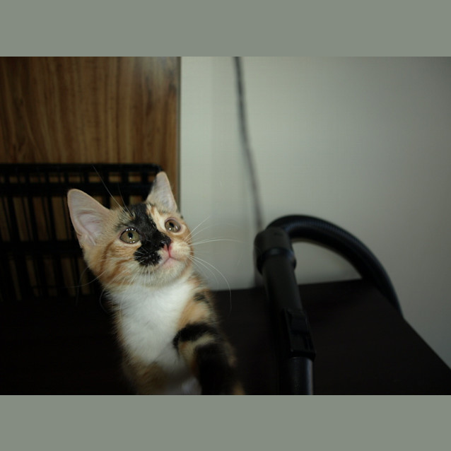 Photo of Mystique