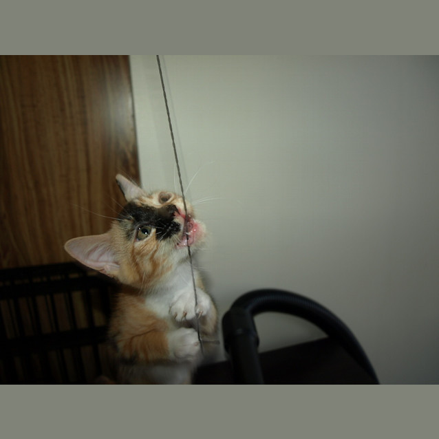 Photo of Mystique