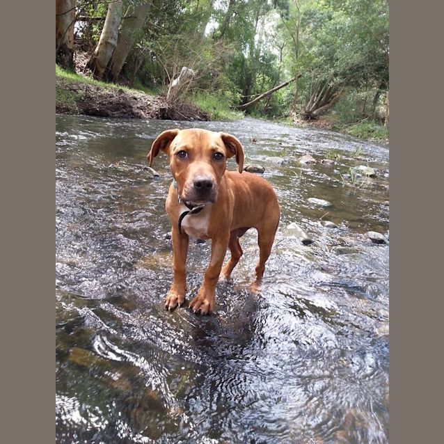 Photo of Bently