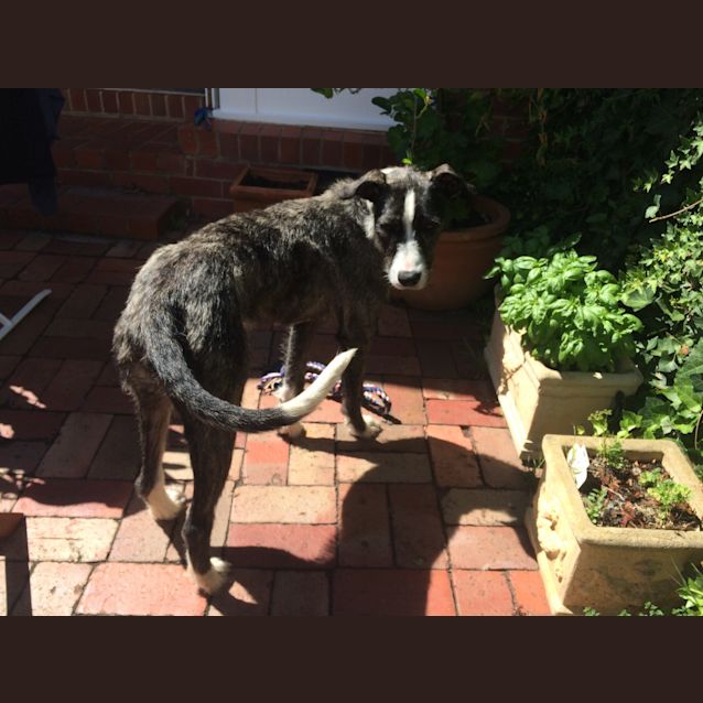 Photo of Dora  