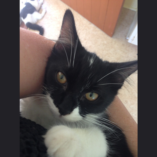 Photo of Rosie