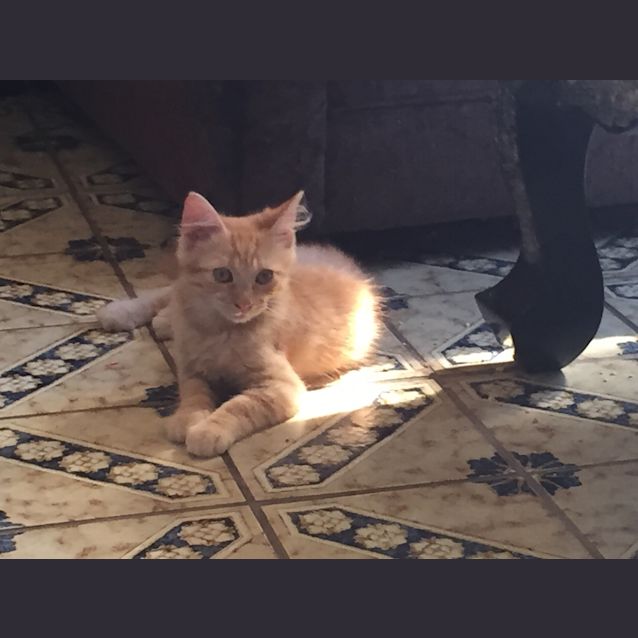 Photo of Loui