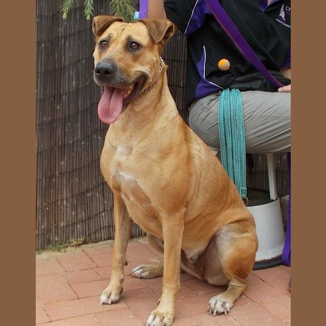Photo of Sally