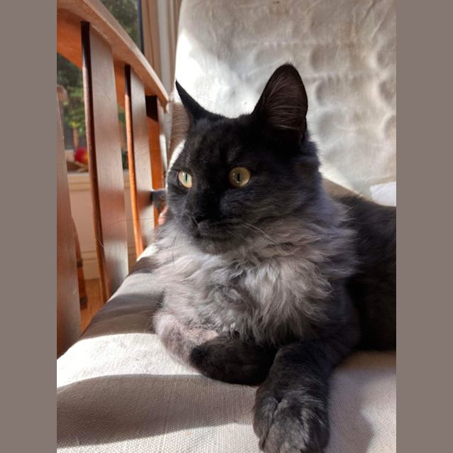 Photo of Salem